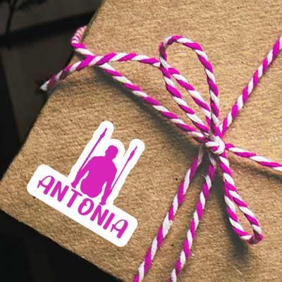 Autocollant Gymnaste aux anneaux Antonia Gift package Image