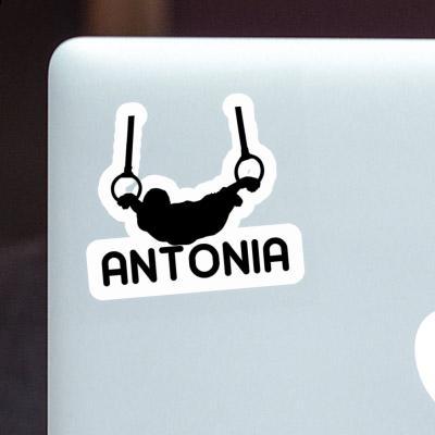 Sticker Ring gymnast Antonia Laptop Image