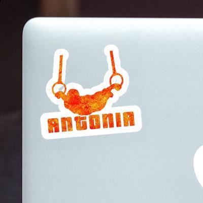 Ringturner Sticker Antonia Laptop Image