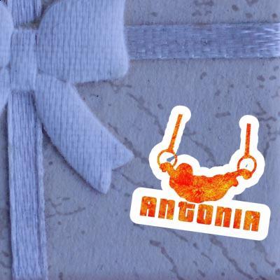 Sticker Antonia Ring gymnast Gift package Image