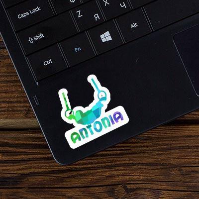 Sticker Ring gymnast Antonia Laptop Image