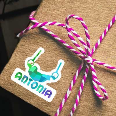 Sticker Ring gymnast Antonia Notebook Image