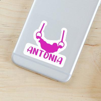 Sticker Antonia Ring gymnast Laptop Image