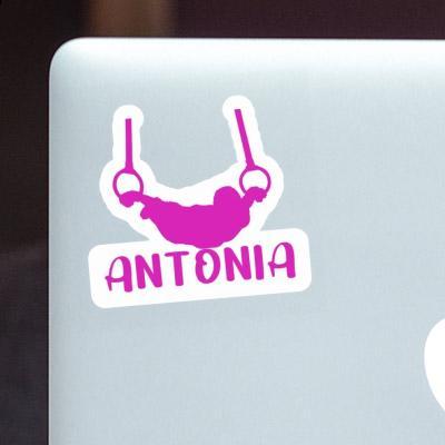 Sticker Antonia Ring gymnast Notebook Image