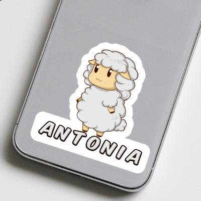 Sticker Antonia Sheep Laptop Image