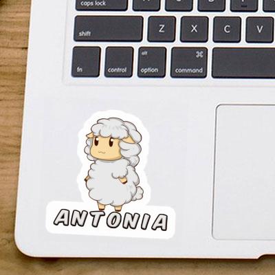 Sticker Antonia Sheep Notebook Image