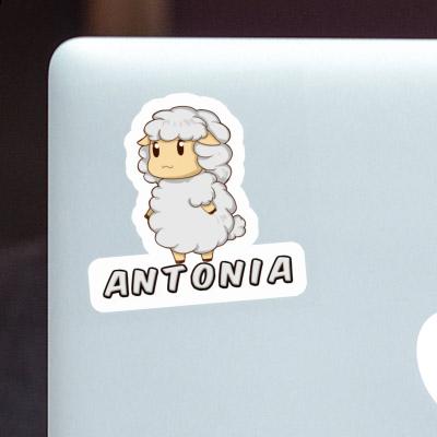 Sticker Antonia Sheep Laptop Image