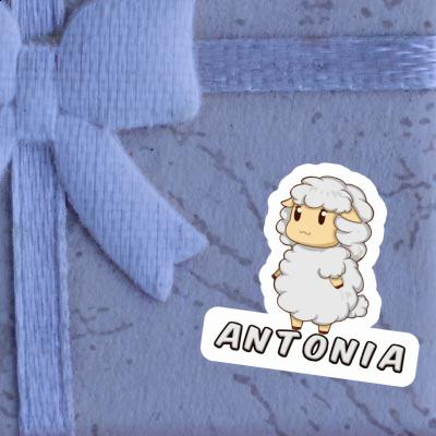 Sticker Antonia Sheep Gift package Image