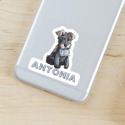 Sticker Antonia Schnauzer Gift package Image