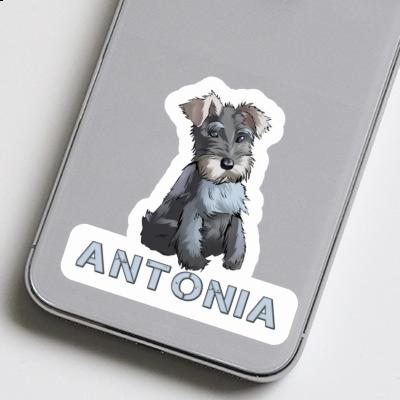 Sticker Antonia Schnauzer Notebook Image