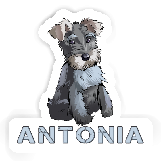 Sticker Antonia Schnauzer Laptop Image