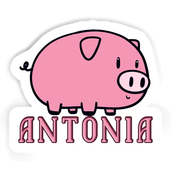 Antonia Aufkleber Schwein Notebook Image