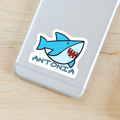 Sticker Antonia Shark Gift package Image