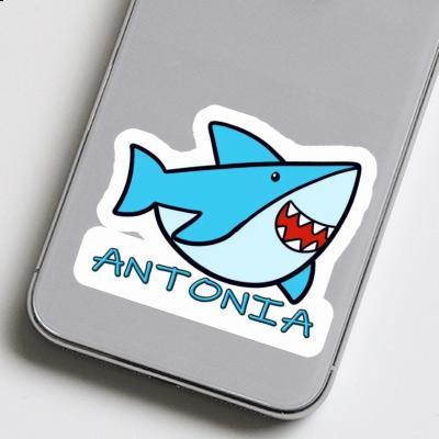 Autocollant Requin Antonia Laptop Image