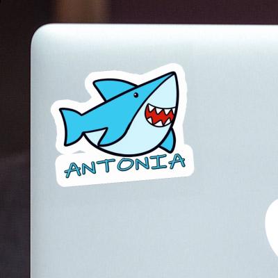 Sticker Antonia Shark Notebook Image