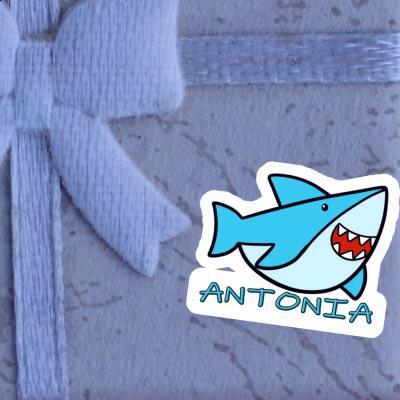 Sticker Antonia Shark Notebook Image