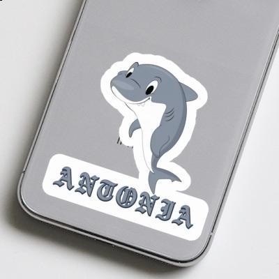 Antonia Sticker Shark Laptop Image