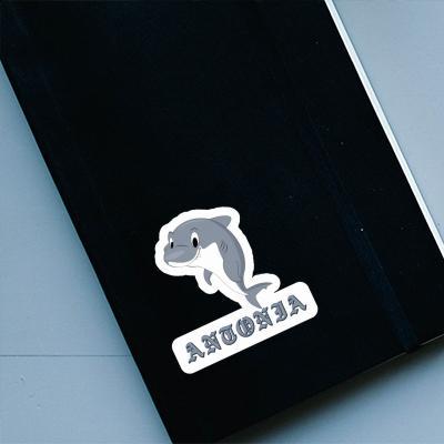 Antonia Sticker Shark Laptop Image