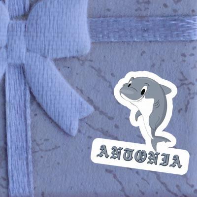 Antonia Sticker Shark Image