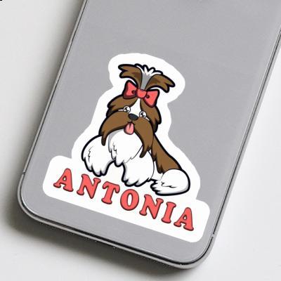 Antonia Autocollant Shih Tzu Laptop Image