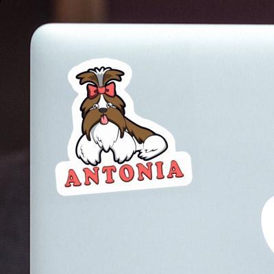 Antonia Sticker Shih Tzu Notebook Image