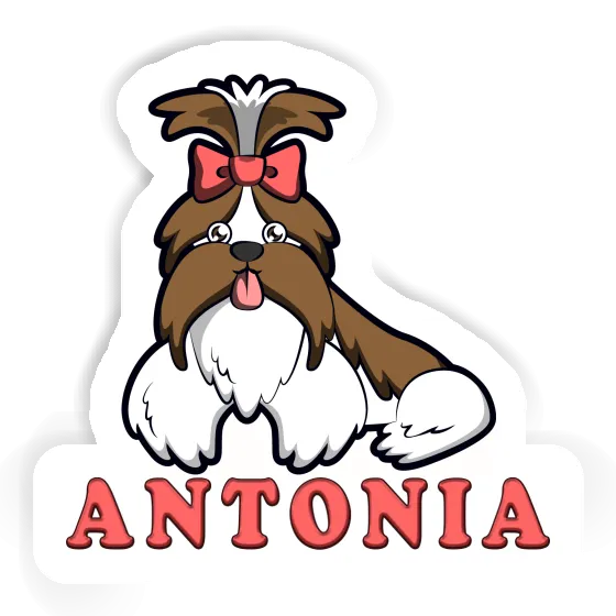 Antonia Sticker Shih Tzu Image