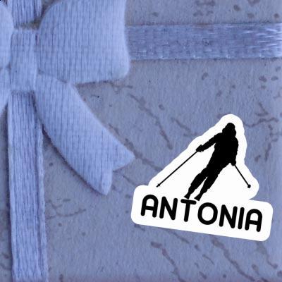 Sticker Skier Antonia Gift package Image