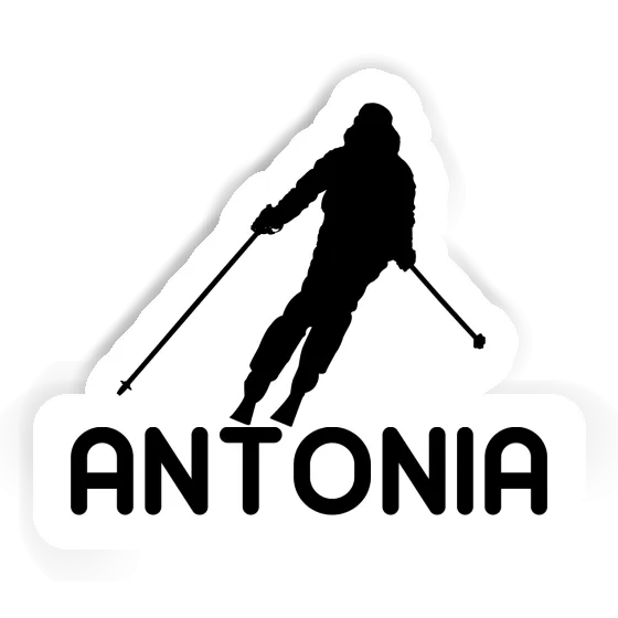 Sticker Skier Antonia Notebook Image