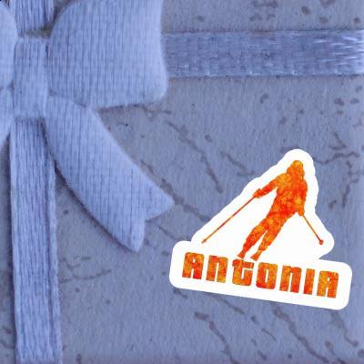 Sticker Skier Antonia Notebook Image