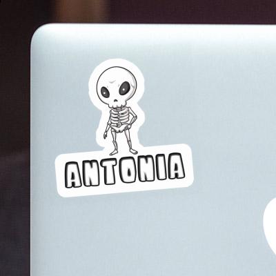 Sticker Skeleton Antonia Gift package Image