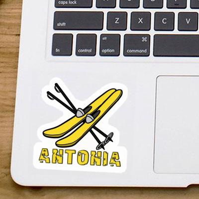 Autocollant Ski Antonia Laptop Image