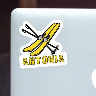 Aufkleber Antonia Ski Laptop Image