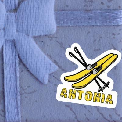 Sticker Antonia Ski Laptop Image