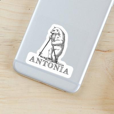 Antonia Sticker Bear Laptop Image