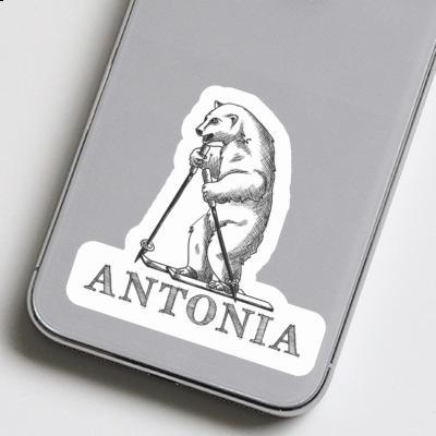 Antonia Sticker Bear Notebook Image