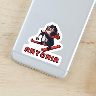 Antonia Sticker Skier Laptop Image