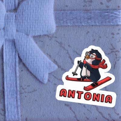 Antonia Sticker Skier Image