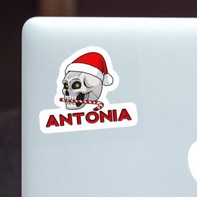 Sticker Weihnachtstotenkopf Antonia Gift package Image