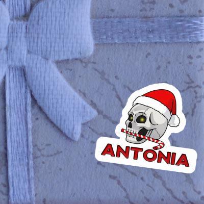 Sticker Antonia Skull Notebook Image