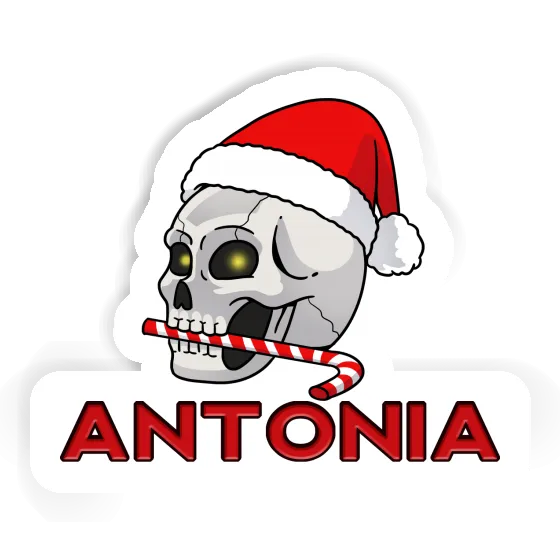 Sticker Antonia Skull Laptop Image