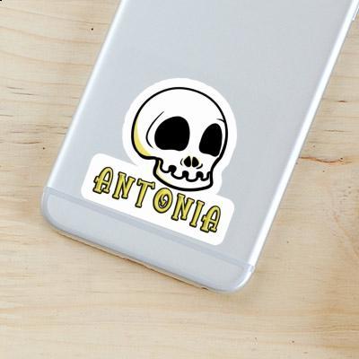 Sticker Totenkopf Antonia Gift package Image