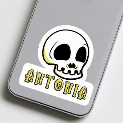 Sticker Totenkopf Antonia Notebook Image