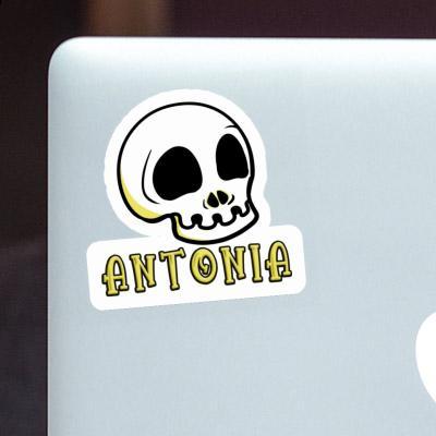 Skull Sticker Antonia Notebook Image