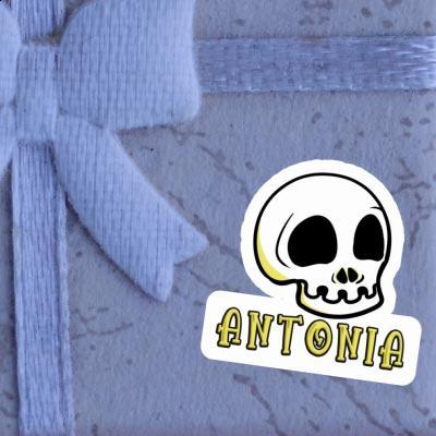 Sticker Totenkopf Antonia Notebook Image