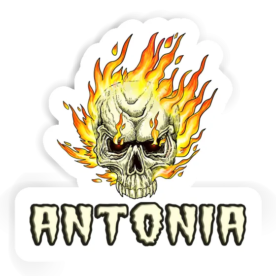 Sticker Totenkopf Antonia Laptop Image