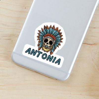 Sticker Baby-Skull Antonia Laptop Image