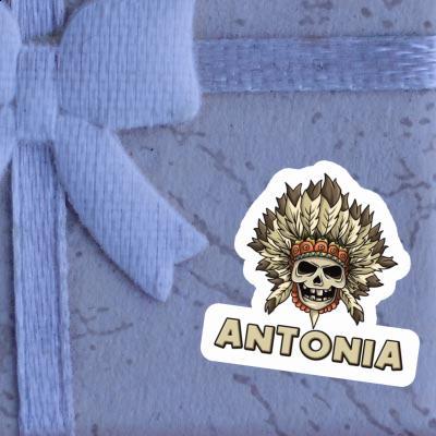 Sticker Antonia Kids Skull Laptop Image