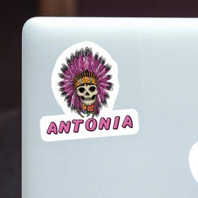 Aufkleber Damen Totenkopf Antonia Notebook Image