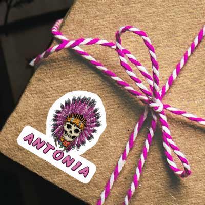 Sticker Antonia Womens Skull Gift package Image