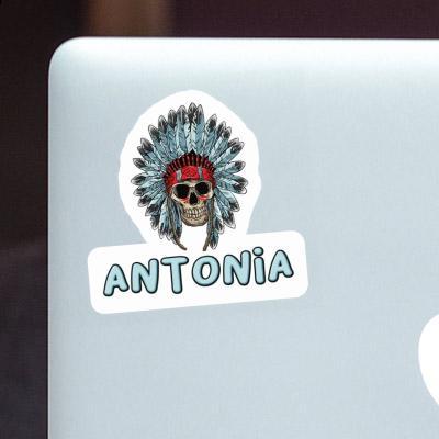 Antonia Sticker Indian Skull Laptop Image